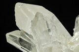 Clear Quartz Crystal Cluster - Brazil #299634-3